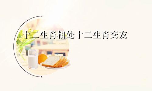 易鑫今日生肖运势2024年1月20日出生