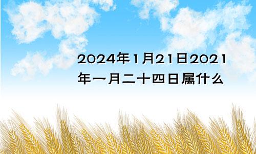2024年1月21日2021年一月二十四日属什么