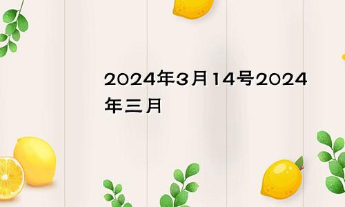 2024年3月14号2024年三月