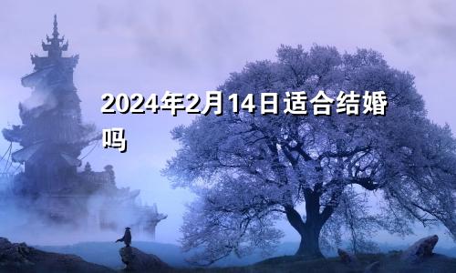 2024年2月14日适合结婚吗