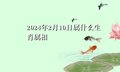 2024年2月10日属什么生肖属相
