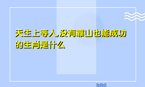 天生上等人,没有靠山也能成功的生肖是什么