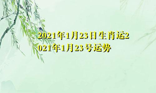 2021年1月23日生肖运2021年1月23号运势
