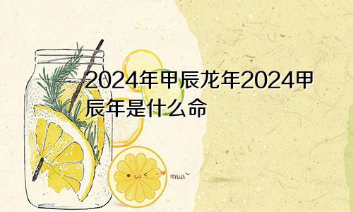 2024年甲辰龙年2024甲辰年是什么命