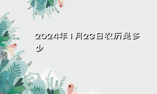 2024年1月23日农历是多少