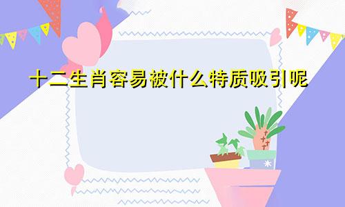 十二生肖容易被什么特质吸引呢
