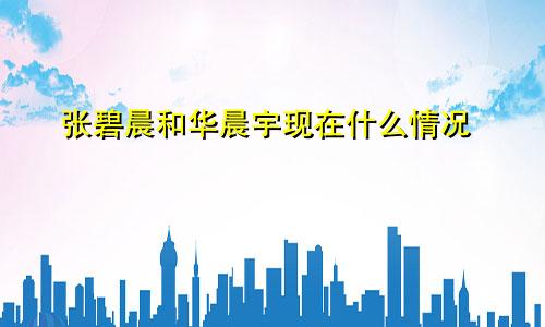 张碧晨和华晨宇现在什么情况