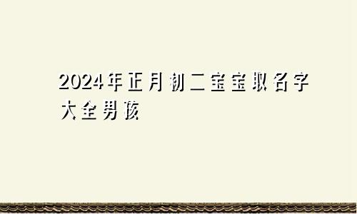 2024年正月初二宝宝取名字大全男孩