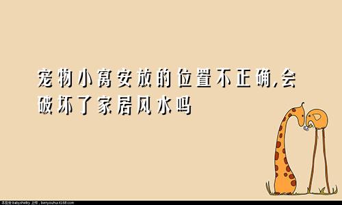 宠物小窝安放的位置不正确,会破坏了家居风水吗