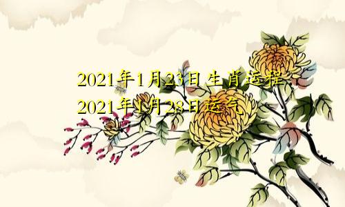 2021年1月23日生肖运程2021年1月28日运气