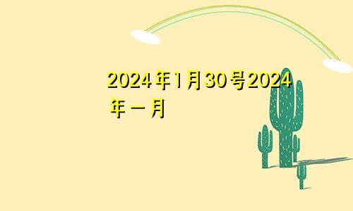 2024年1月30号2024年一月