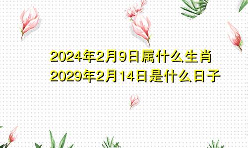 2024年2月9日属什么生肖2029年2月14日是什么日子