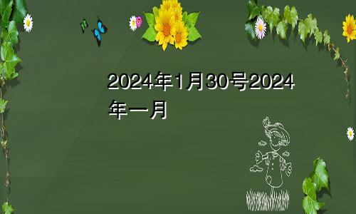 2024年1月30号2024年一月