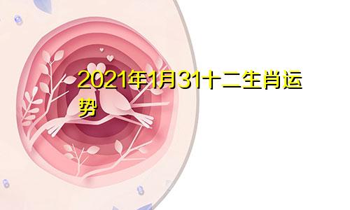 2021年1月31十二生肖运势