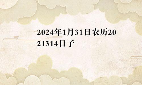 2024年1月31日农历2021314日子