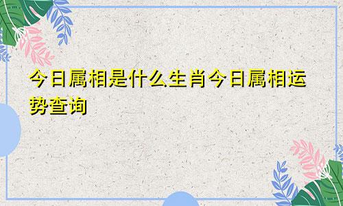 今日属相是什么生肖今日属相运势查询