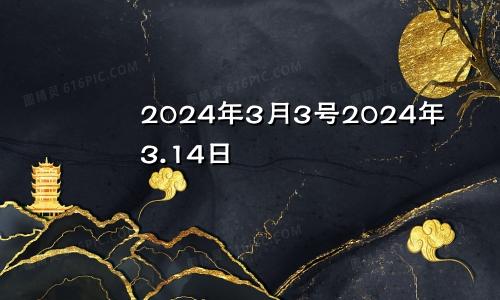 2024年3月3号2024年3.14日