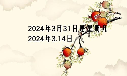 2024年3月31日是星期几2024年3.14日