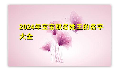 2024年宝宝取名姓王的名字大全