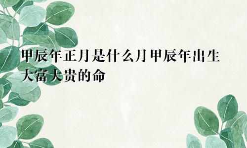 甲辰年正月是什么月甲辰年出生大富大贵的命