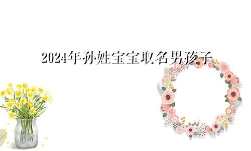 2024年孙姓宝宝取名男孩子