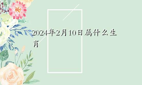 2024年2月10日属什么生肖