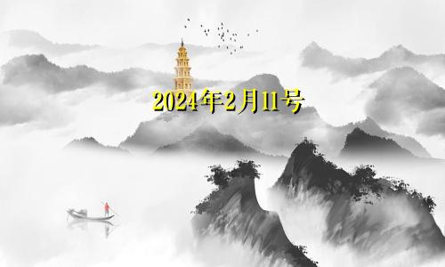 2024年2月11号