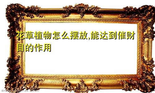 花草植物怎么摆放,能达到催财目的作用