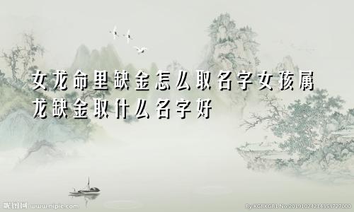 女龙命里缺金怎么取名字女孩属龙缺金取什么名字好