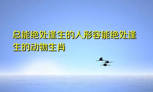 总能绝处逢生的人形容能绝处逢生的动物生肖