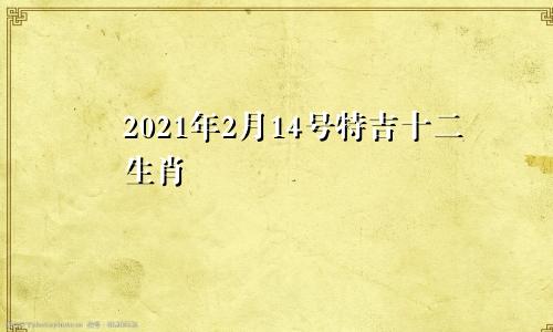 2021年2月14号特吉十二生肖