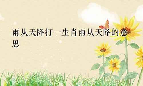 雨从天降打一生肖雨从天降的意思