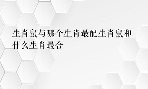 生肖鼠与哪个生肖最配生肖鼠和什么生肖最合