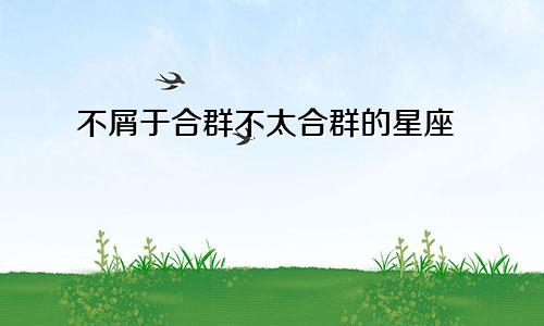 不屑于合群不太合群的星座