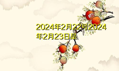 2024年2月22号2024年2月23日是