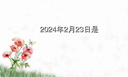 2024年2月23日是