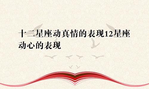 十二星座动真情的表现12星座动心的表现
