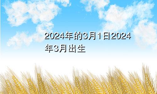 2024年的3月1日2024年3月出生