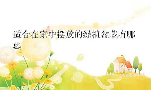 适合在家中摆放的绿植盆栽有哪些