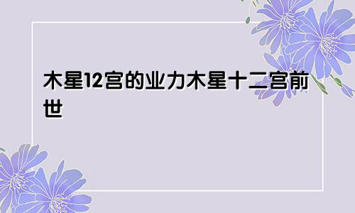 木星12宫的业力木星十二宫前世