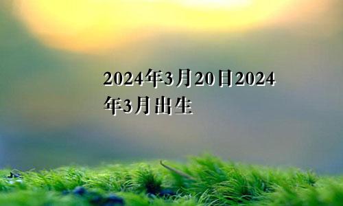 2024年3月20日2024年3月出生