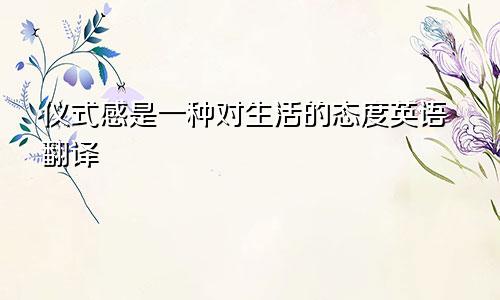 仪式感是一种对生活的态度英语翻译