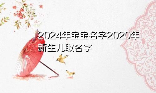 2024年宝宝名字2020年新生儿取名字