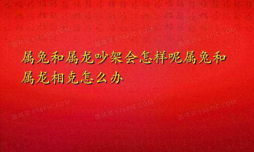 属兔和属龙吵架会怎样呢属兔和属龙相克怎么办