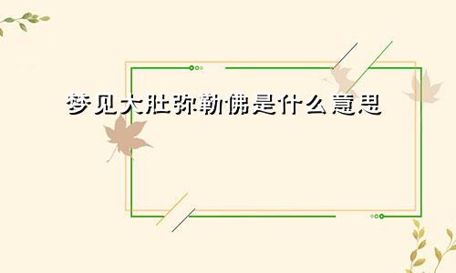 梦见大肚弥勒佛是什么意思