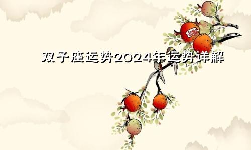 双子座运势2024年运势详解