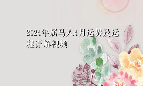 2024年属马人4月运势及运程详解视频