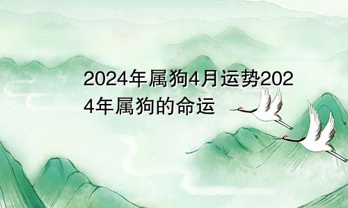 2024年属狗4月运势2024年属狗的命运