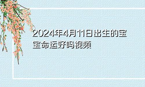 2024年4月11日出生的宝宝命运好吗视频