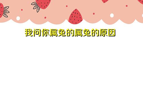 我问你属兔的属兔的原因